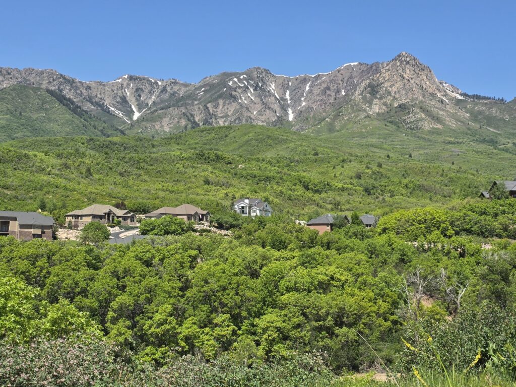 a view of mountain range, houses, and trees in Morgan Valley, UT