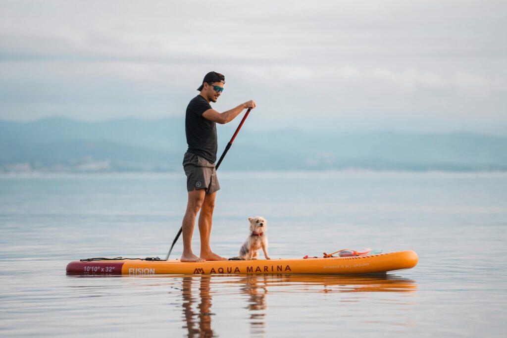 a man paddle boading with a dog on a body of water